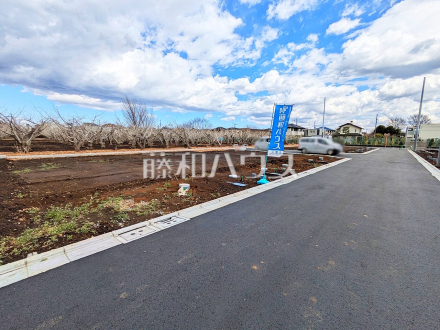 7号地付近　現地写真　【三鷹市北野３丁目】／撮影日2025/03/17