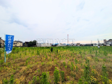 現場風景　【新座市野火止３丁目】／撮影日2025/06/09