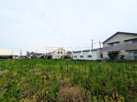 現場風景　【新座市野火止３丁目】／撮影日2025/06/09