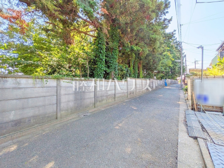 接道状況および現場風景　【練馬区南大泉５丁目】／撮影日2025/06/18