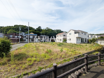 現地写真　【日野市大字川辺堀之内】／撮影日2025/05/15