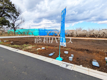 7号地付近　現地写真　【三鷹市北野３丁目】／撮影日2025/03/17