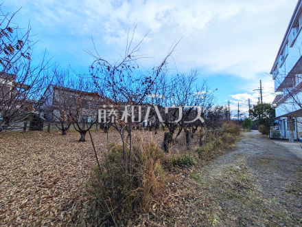 現地写真　【府中市白糸台２丁目】／撮影日2025/12/26