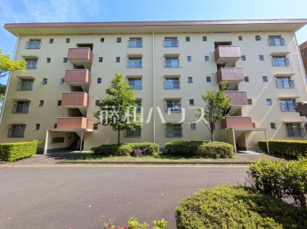 松が谷６番地住宅　６-２号棟物件画像