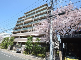 ナイスパークステイツ吉祥寺サウスコート物件画像