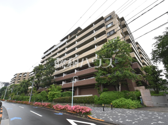 ファミールグラン高井戸デュープレックス物件画像