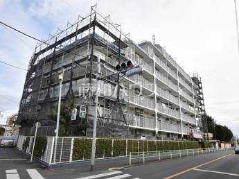 メゾンエクレーレ昭島物件画像