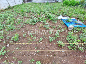 西東京市富士町2丁目　全1区画　宅地分譲物件画像