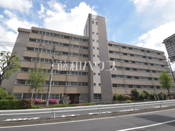 パシフィック江古田マンション物件画像