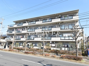  セレーネ多摩川物件画像