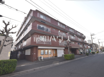シティコーポパルナス久米川物件画像