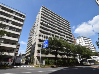 藤和ハイタウン練馬物件画像