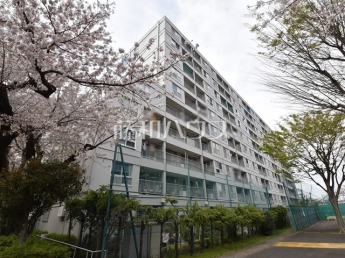 所沢コーポラス　D棟物件画像