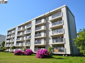 公社多摩川住宅ハ-８号棟物件画像