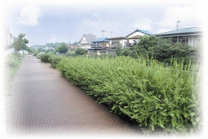 自宅売却から新規購入