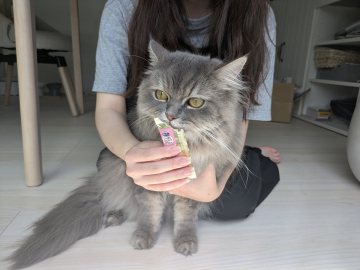 ～お客様の声　Y様～