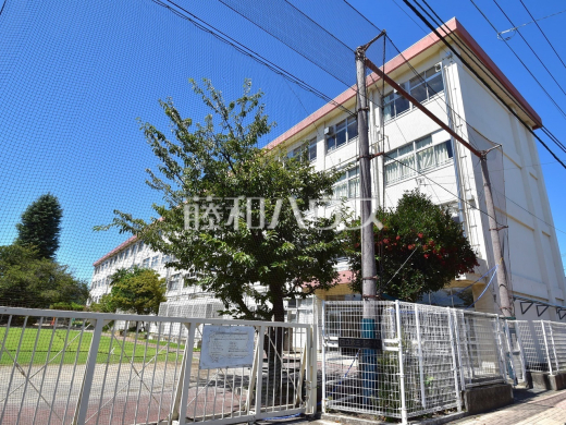 国立市立国立第三小学校