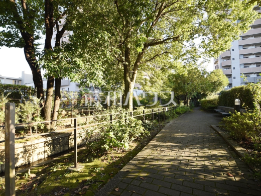 鈴木町親水公園