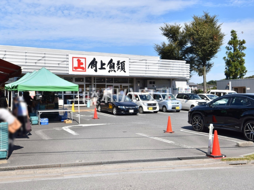 角上魚類　小平店