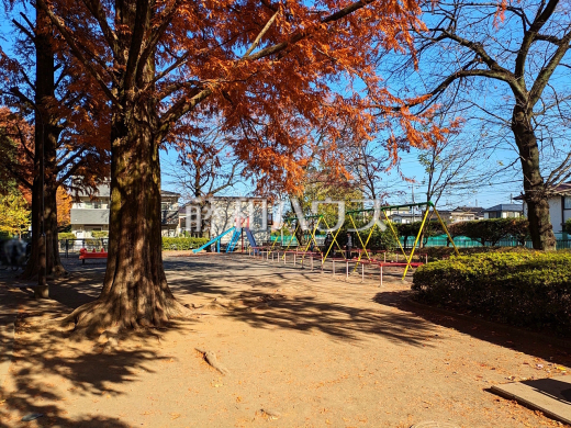 小平市立中央公園