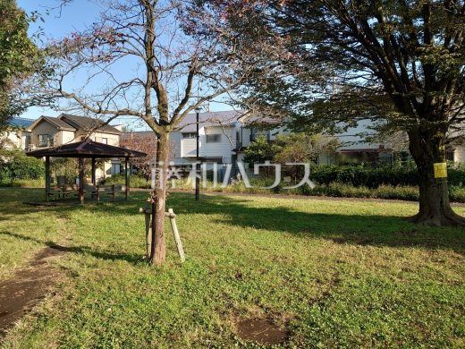 小山れんげ公園