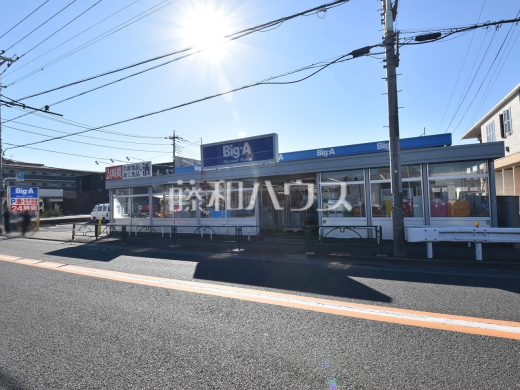 ビッグ・エー東村山青葉店