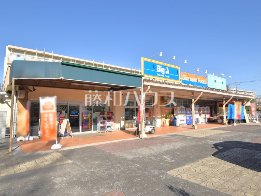 ビック・エー東大和芝中団地店