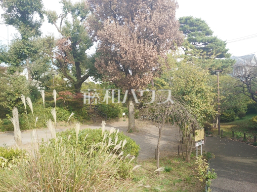 つつじヶ丘公園