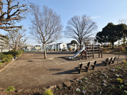 野火止公園