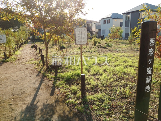 西恋ヶ窪緑地(エックス山)