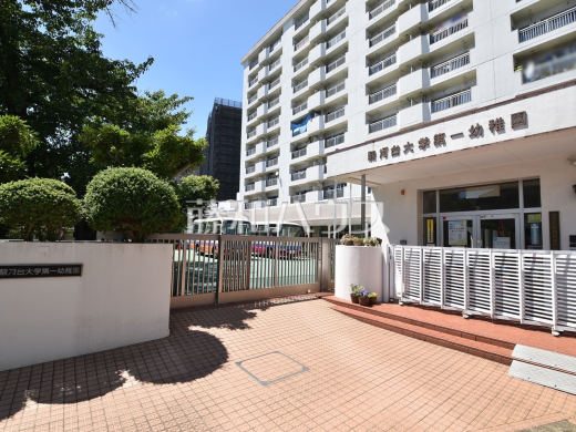 駿河台大学第一幼稚園