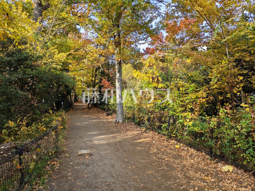 玉川上水緑道(小平市上水南町)