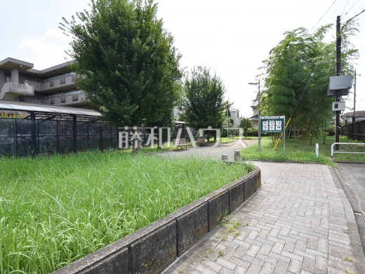 たけのこ公園