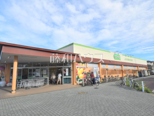 コープみらい コープ小川西町店