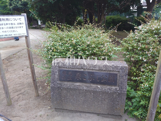 泉こぶし公園