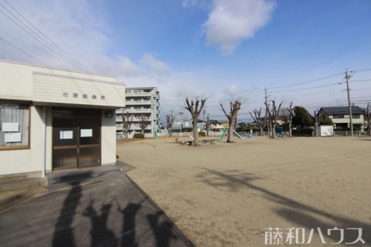柏東公園