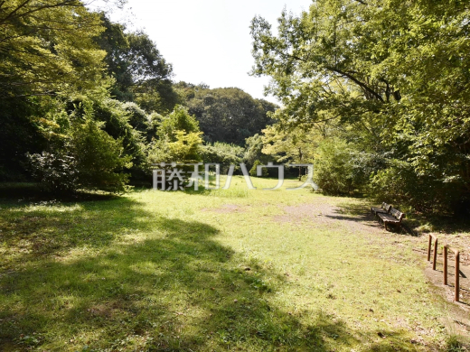 さかい公園