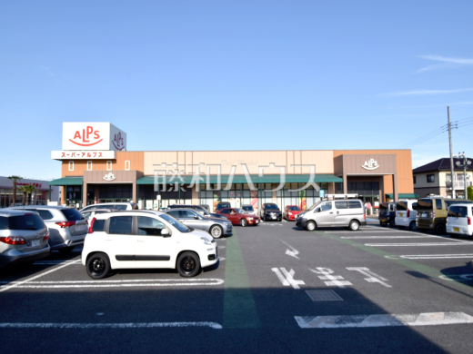 スーパーアルプス 豊田南店