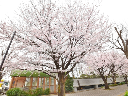 あらやしき公園