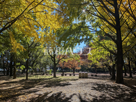蘆花恒春園(芦花公園内)