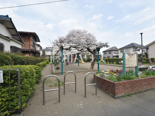 桜町公園