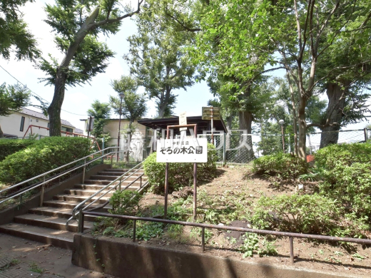 中野区立そろの木公園