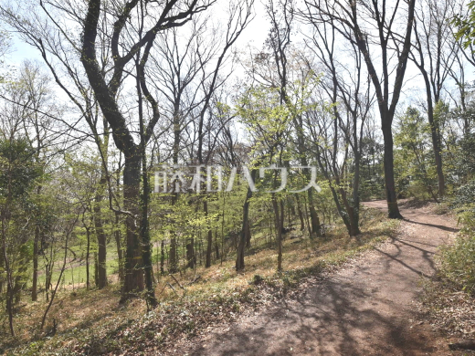 都立八国山緑地