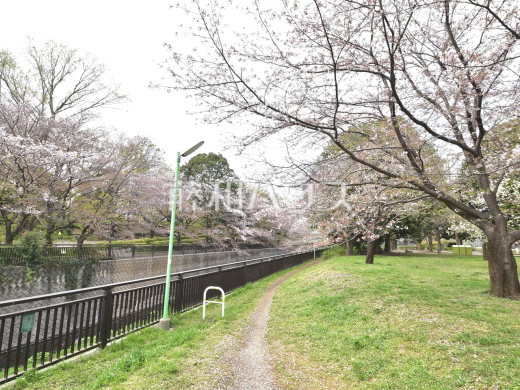 都立祖師谷公園