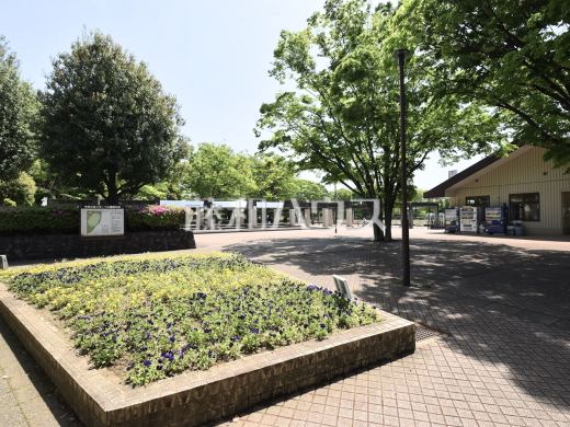 日野市 市民の森スポーツ公園