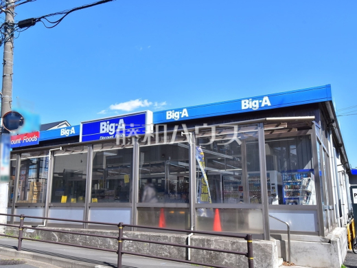 ビッグ・エー 三鷹新川店