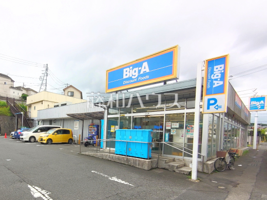 ビッグ・エー 八王子長沼町店