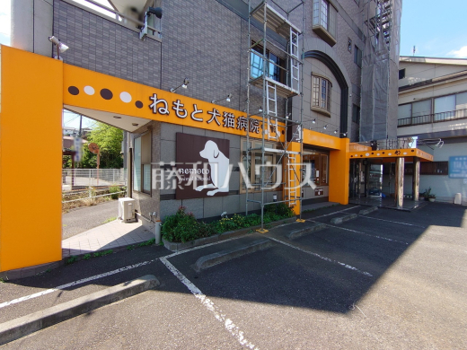 ねもと犬猫病院