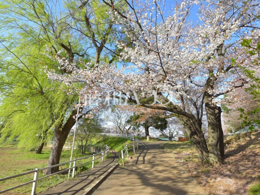 白山公園
