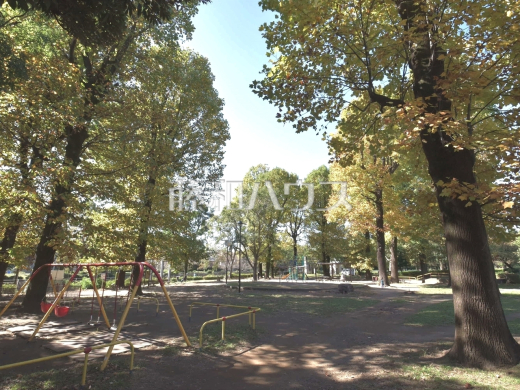 善福寺川緑地公園